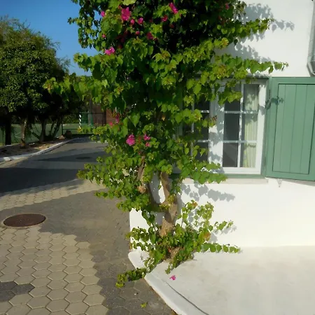 Casa de Férias Quinta Do Penedo - By Portugalferias